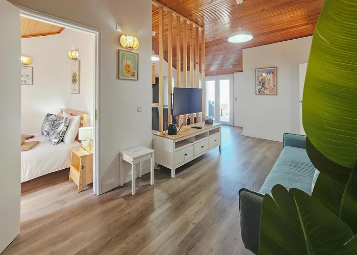 Supertubos Διαμέρισμα